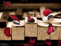 Photo-little