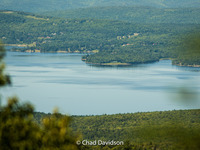 Photo-little