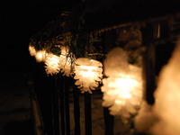 Photo-little