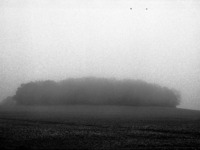 Photo-little