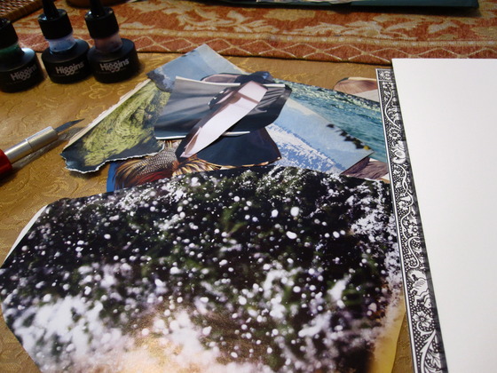 Image-78255-full