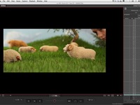 Photo-little