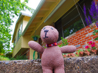 Photo-little
