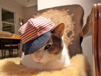 Photo-little