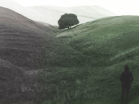 Photo-little