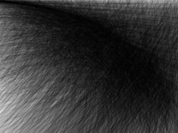 Photo-little
