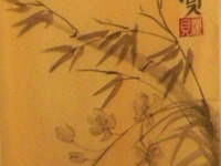 Photo-little