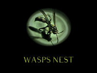 Photo-little