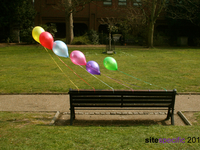Photo-little