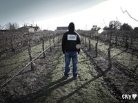 Photo-little