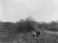 Photo-little