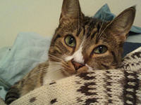 Photo-little