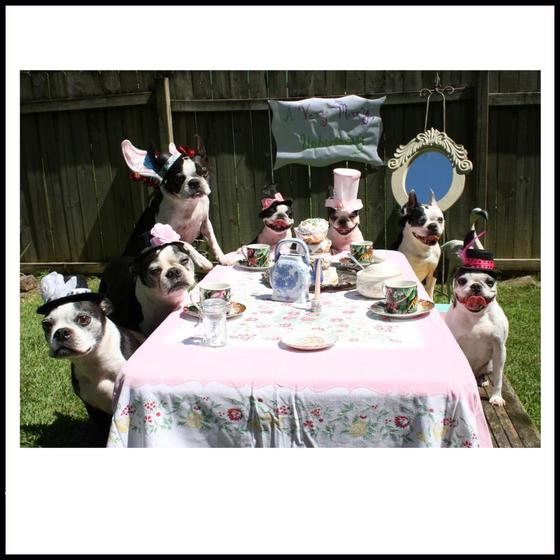 Image-163580-full