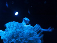 Photo-little