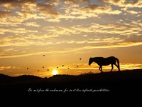 Photo-little