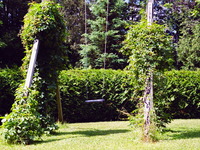 Photo-little
