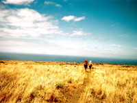 Photo-little