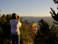 Photo-little