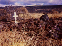 Photo-little