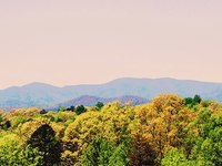 Photo-little