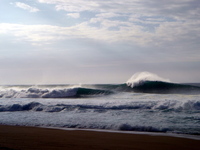 Photo-little