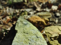 Photo-little
