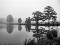 Photo-little