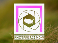 Photo-little