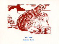 Photo-little