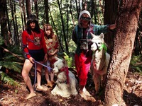 Photo-little