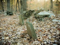 Photo-little