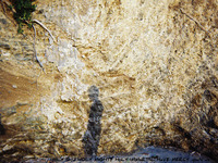 Photo-little
