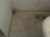 Photo-little