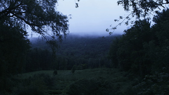 Image-133571-full