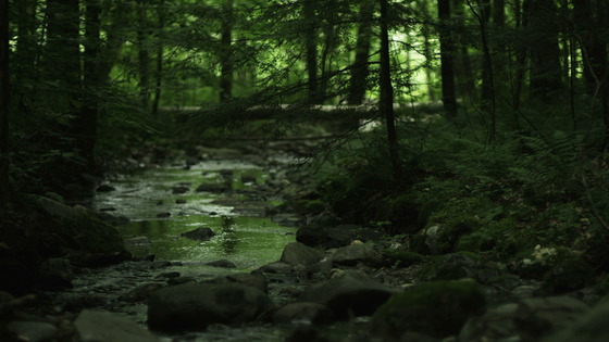 Image-133582-full