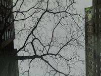 Photo-little