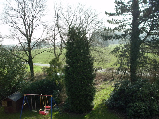 Image-99662-full