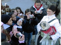 Photo-little