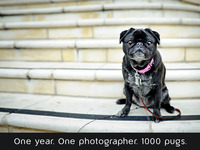 Photo-little