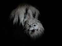 Photo-little