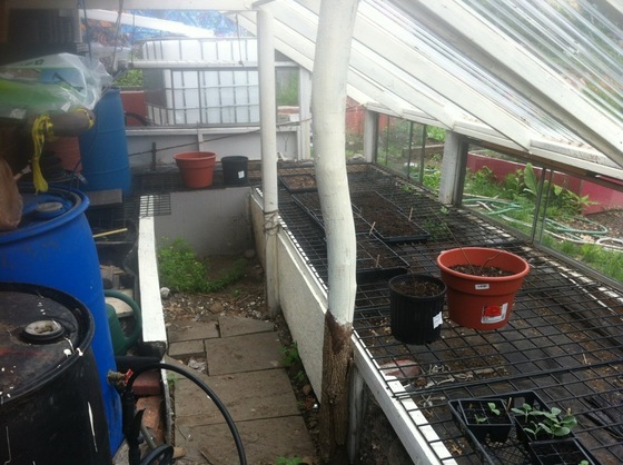 Image-121231-full
