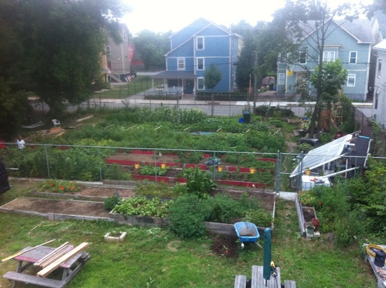 Image-150931-full