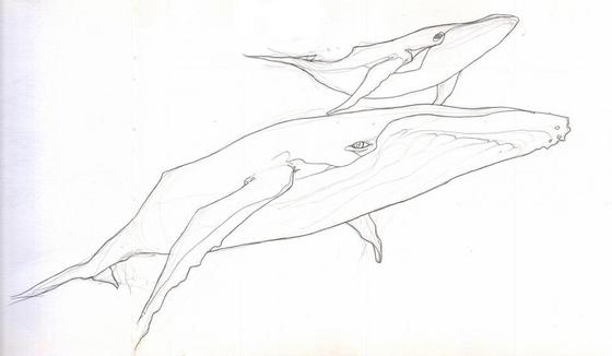 Image-96019-full