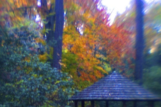 Image-91297-full
