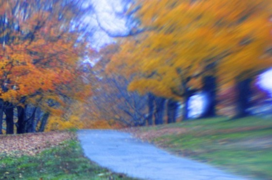 Image-91304-full
