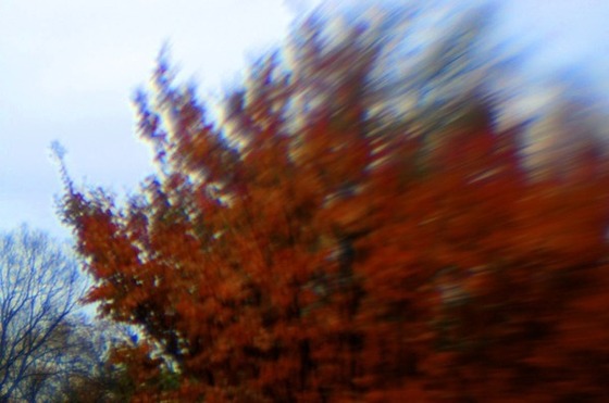 Image-91310-full