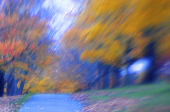 Image-91311-full