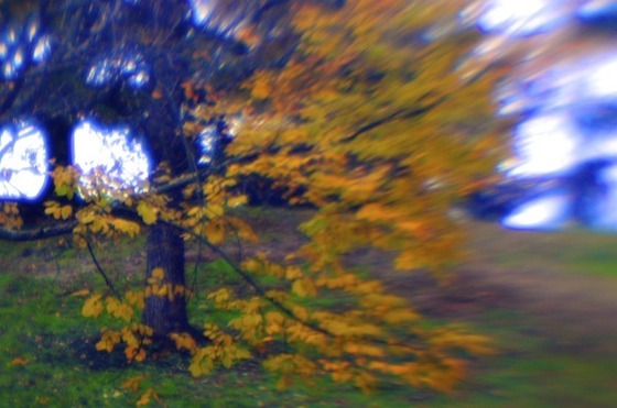 Image-91312-full