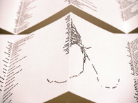 Photo-little