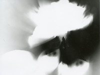 Photo-little